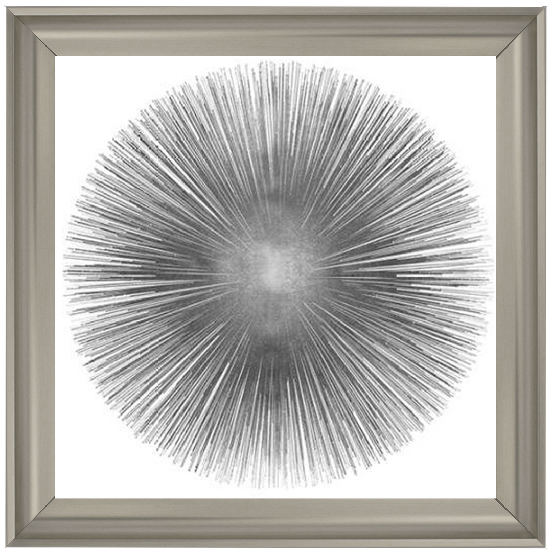 MD002 (AY112556) Silver Sunburst 1