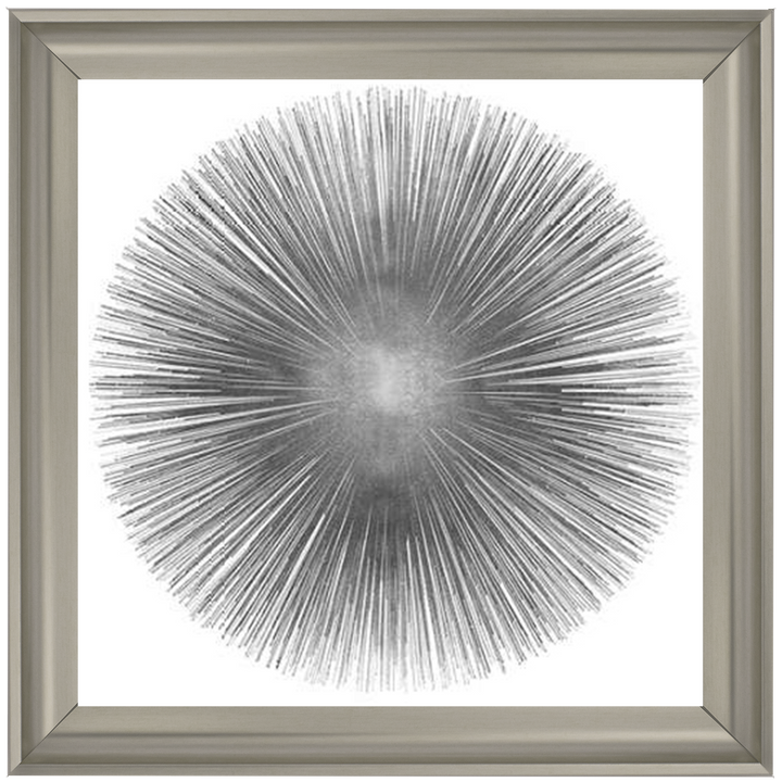 MD002 (AY112556) Silver Sunburst 1