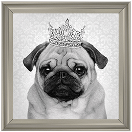 AN056 Pug