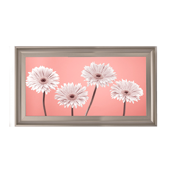 Four Gerberas Nude/White
