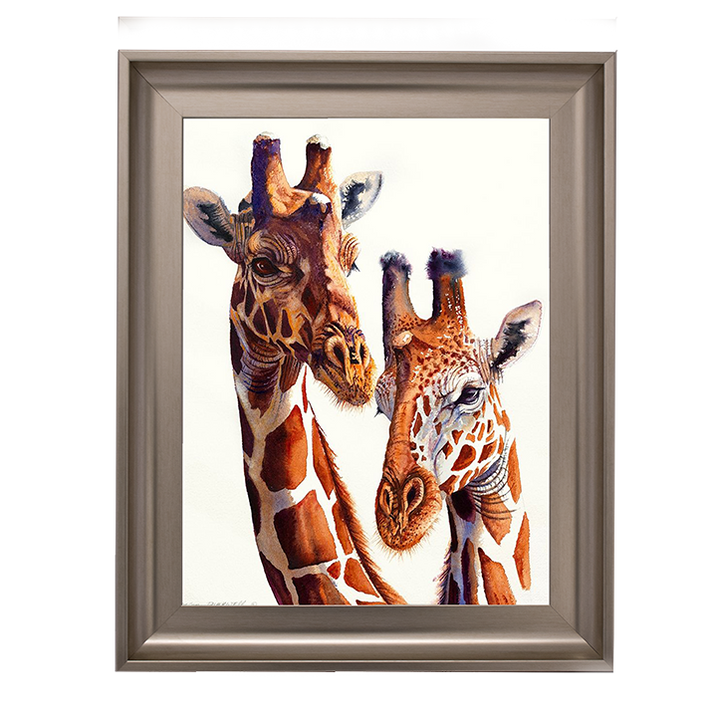 Safari Giraffes