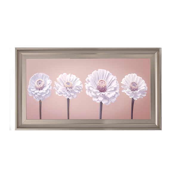 Four Zinnias in a row nude pink