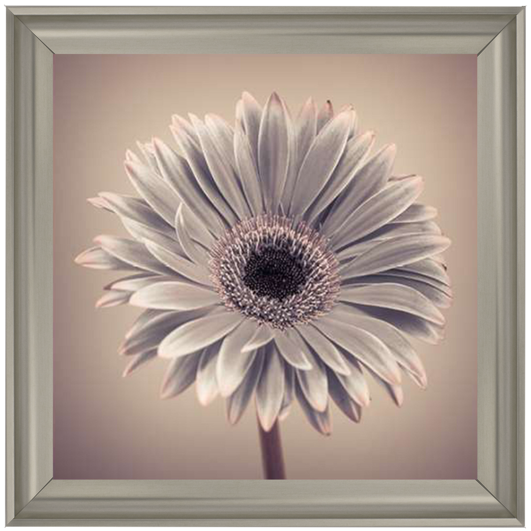 FL013 Pink Gerbera 1