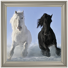Salt And Pepper