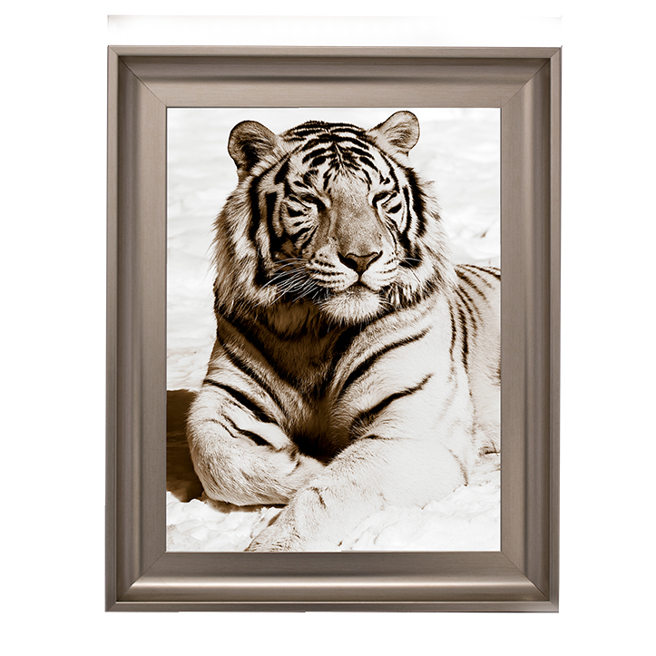 AN043 African Animals Series - Tiger A
