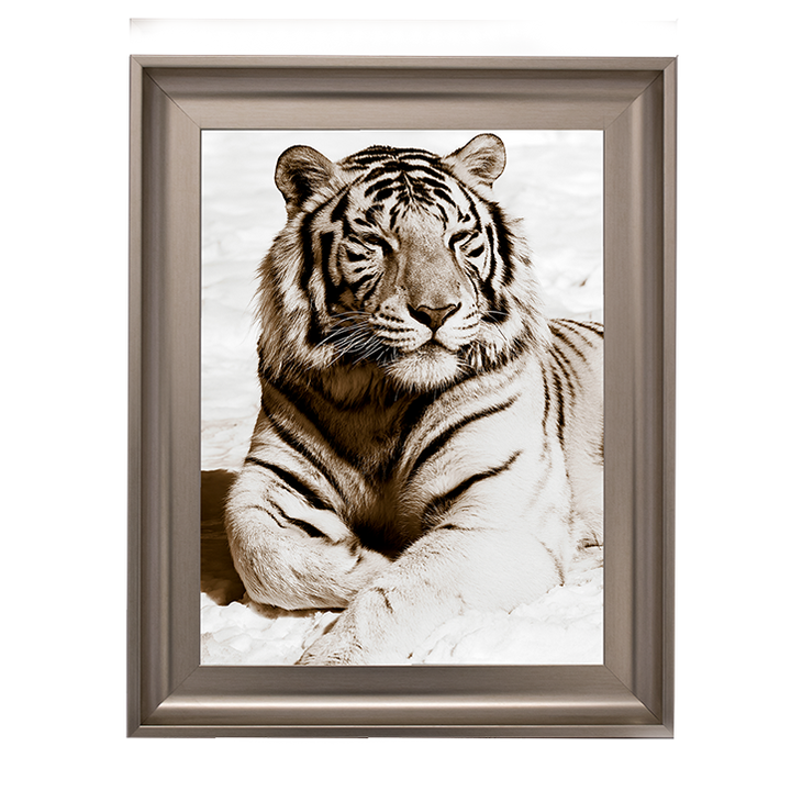 AN043 African Animals Series - Tiger A