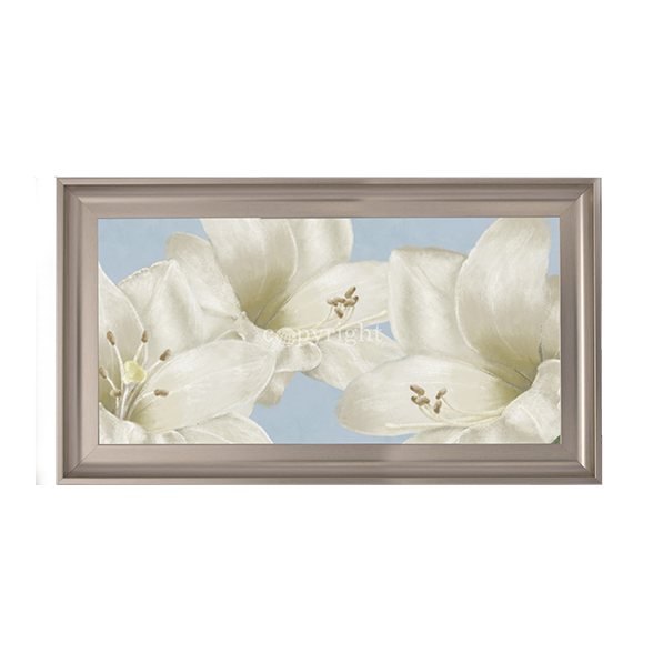 White Amaryllis III