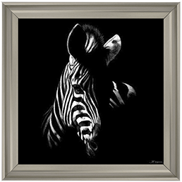 Wildlife Scratchboards V