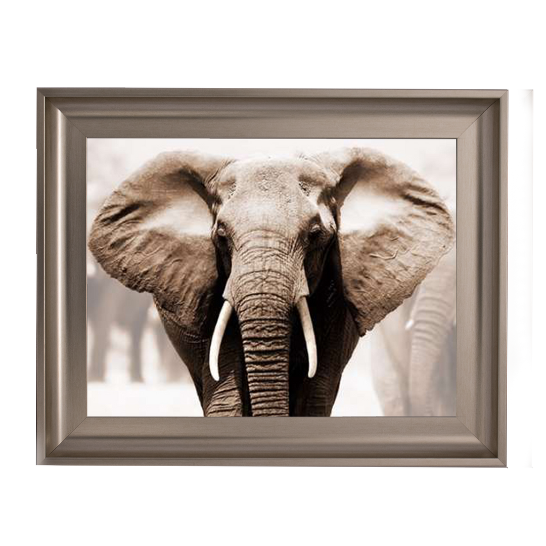 AN071 African Elephant