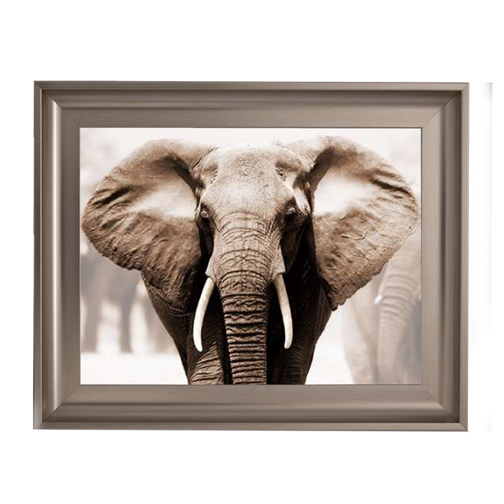 AN071 African Elephant