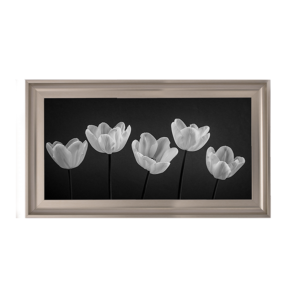 Five Tulips in a row