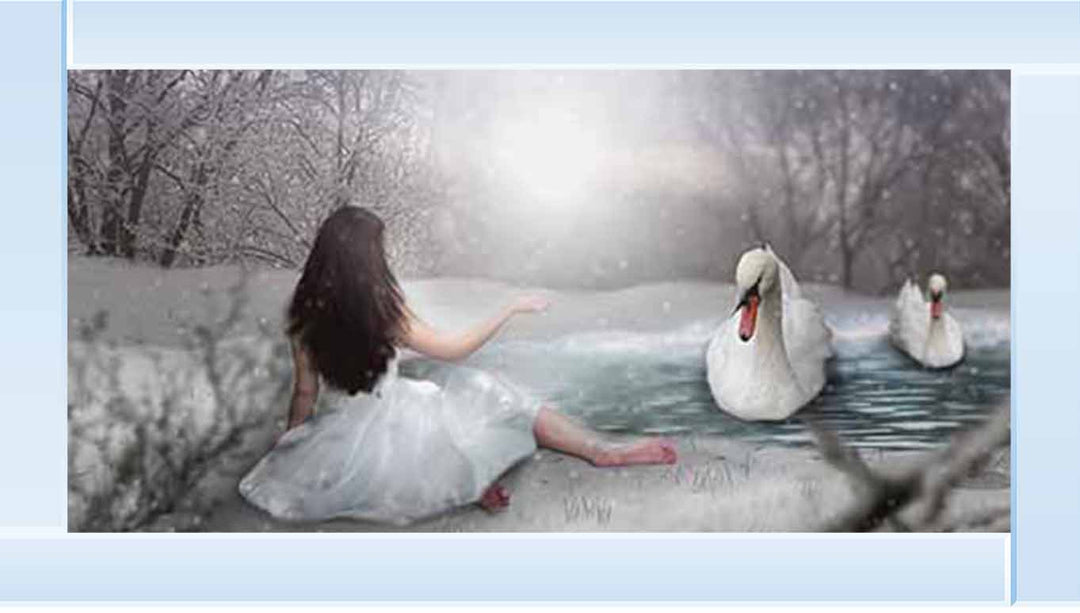 FG746 Swan & woman on lake