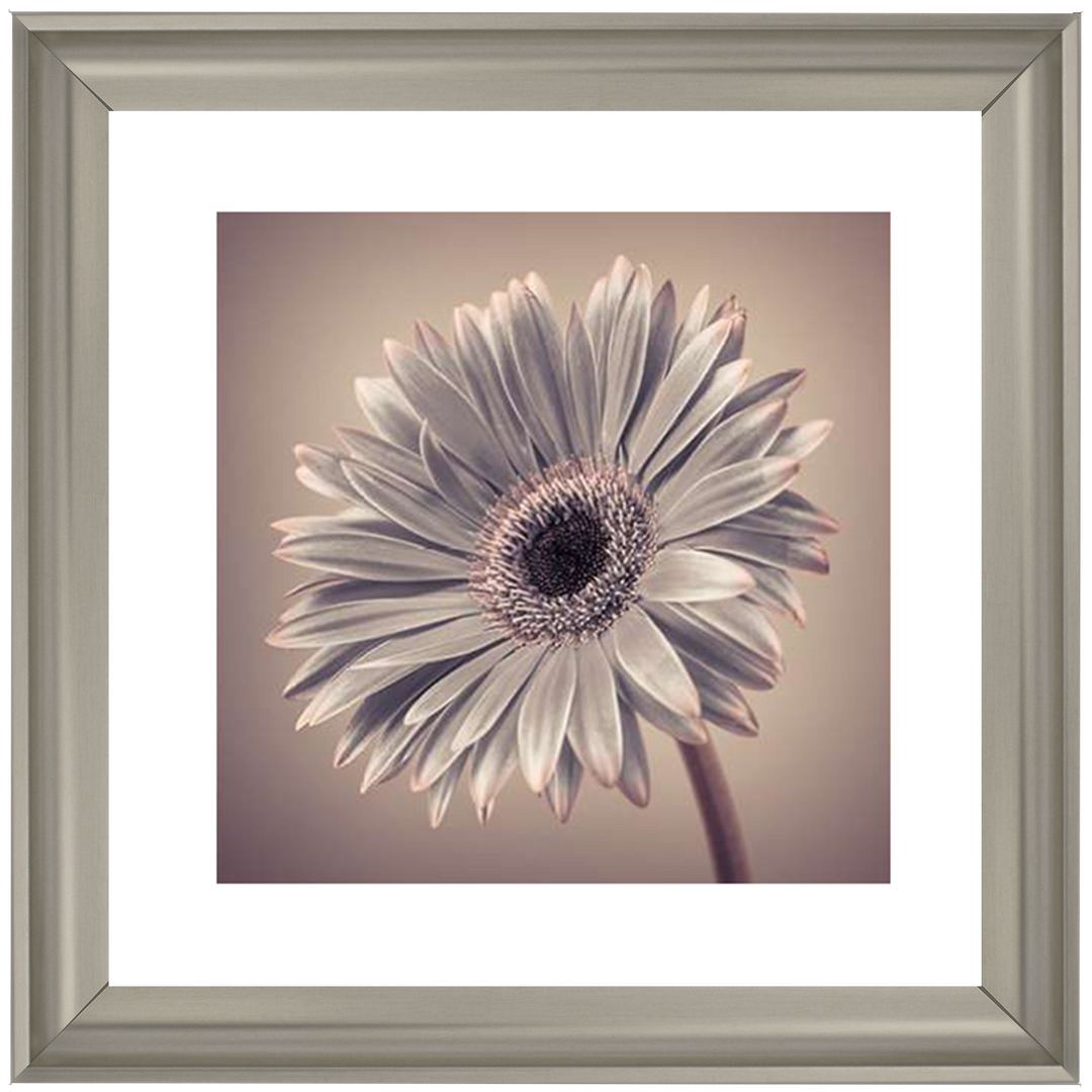 FL014 Pink Gerbera 2