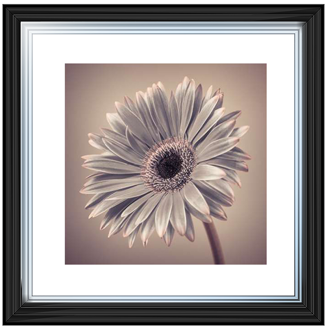 FL014 Pink Gerbera 2
