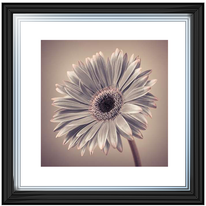 FL014 Pink Gerbera 2