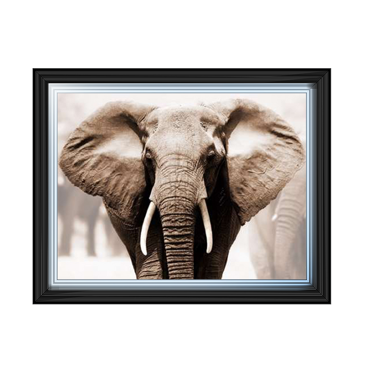 AN071 African Elephant