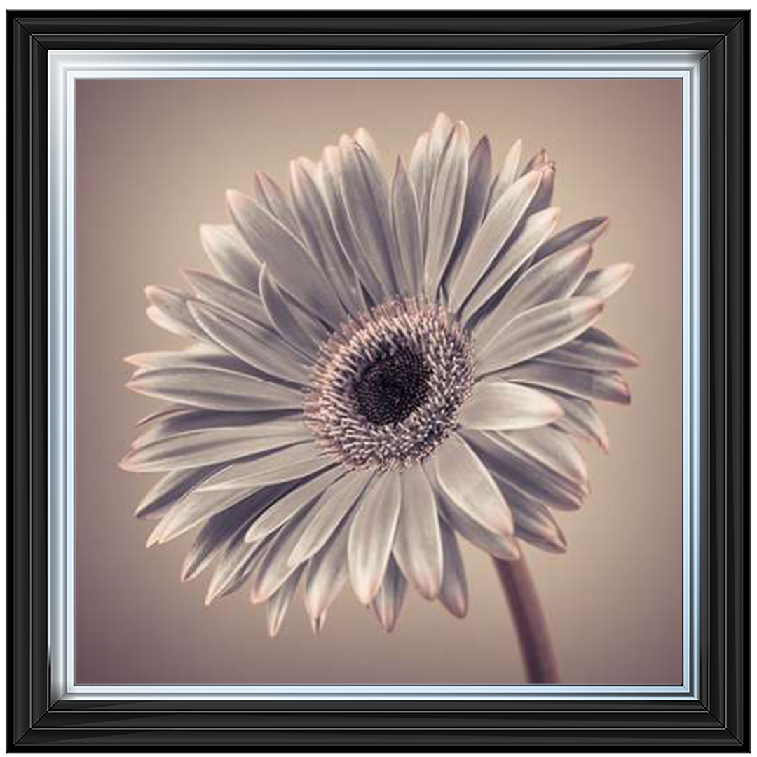 FL014 Pink Gerbera 2