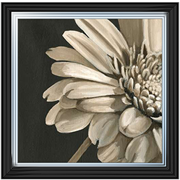 FL038 Classical Blooms IV