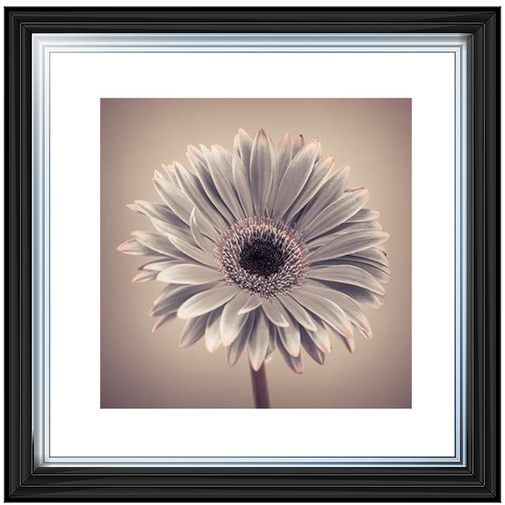 FL013 Pink Gerbera 1