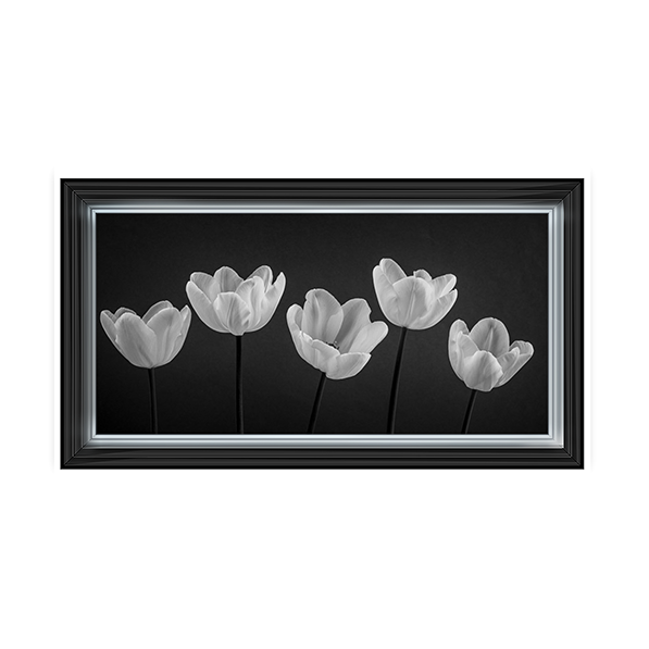 Five Tulips in a row