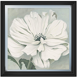 White poppy