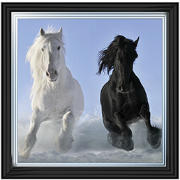 Salt And Pepper