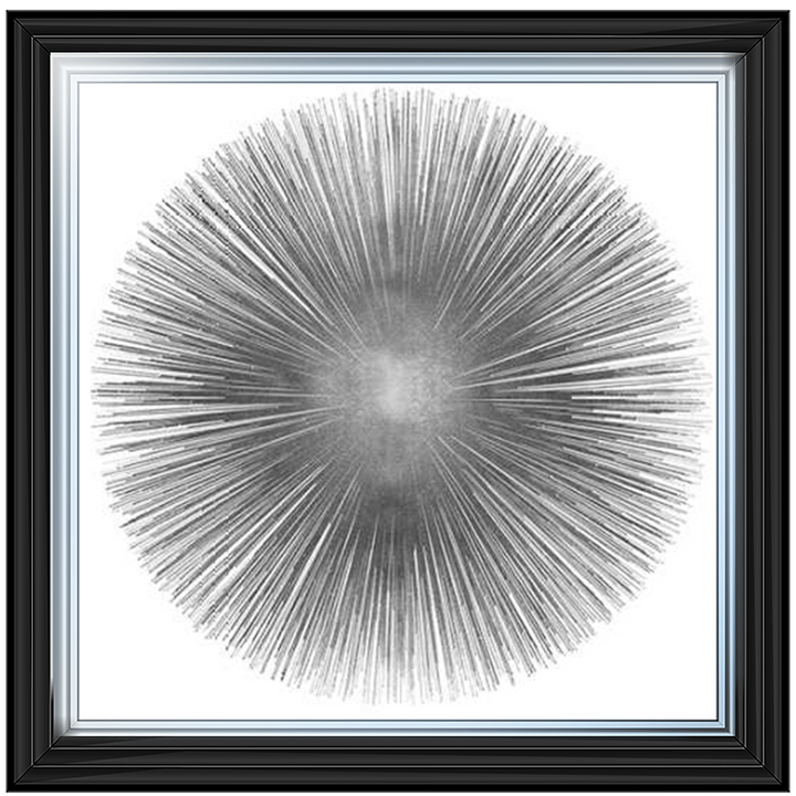 MD002 (AY112556) Silver Sunburst 1