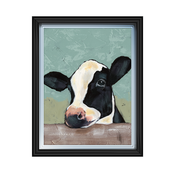 Holstein Cow II