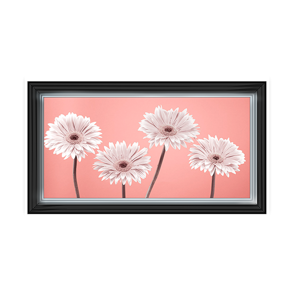 Four Gerberas Nude/White