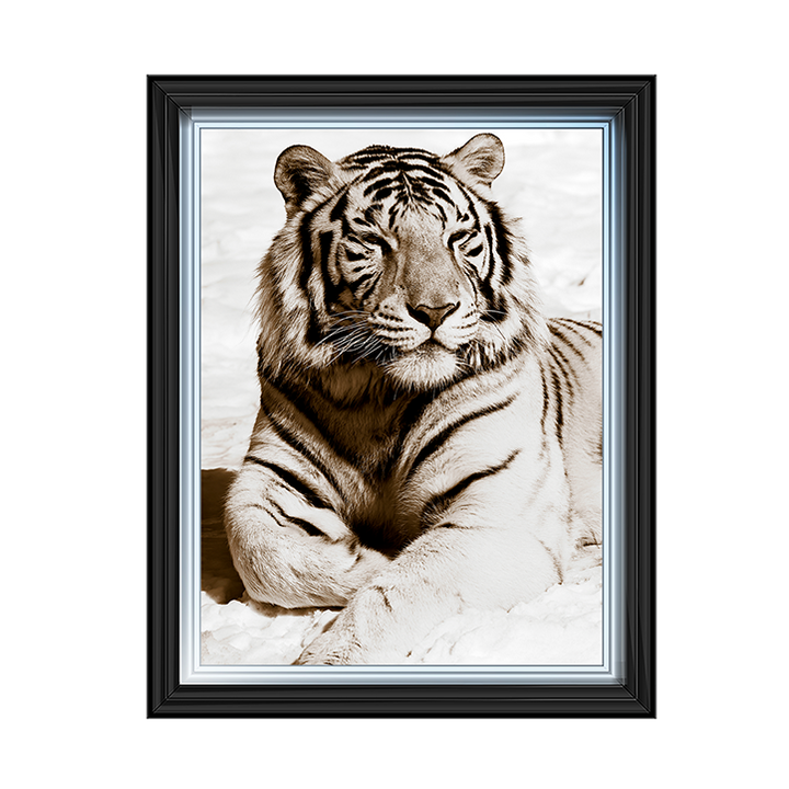 AN043 African Animals Series - Tiger A