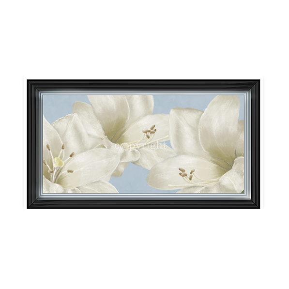 White Amaryllis III