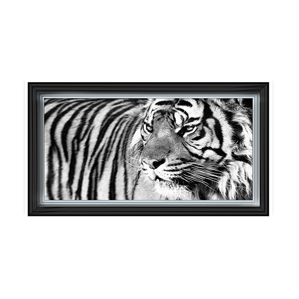 Tiger Eyes