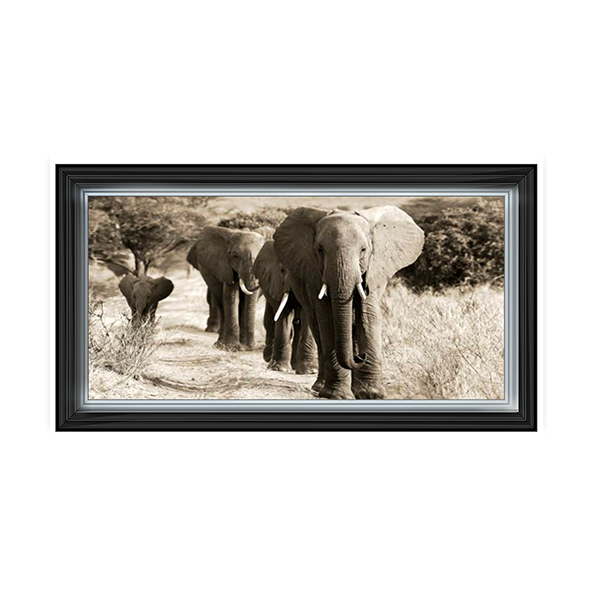 Herd of African Elephants- Kenya