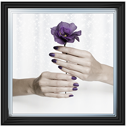 Purple Rose