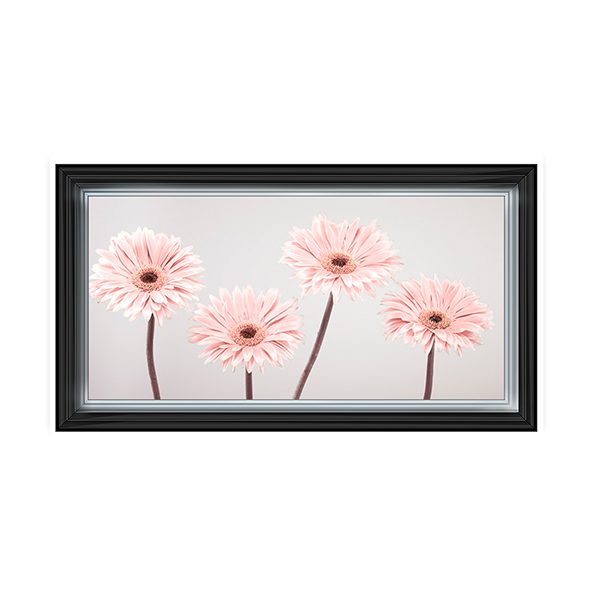 Set of 4 Gerberas nude pink