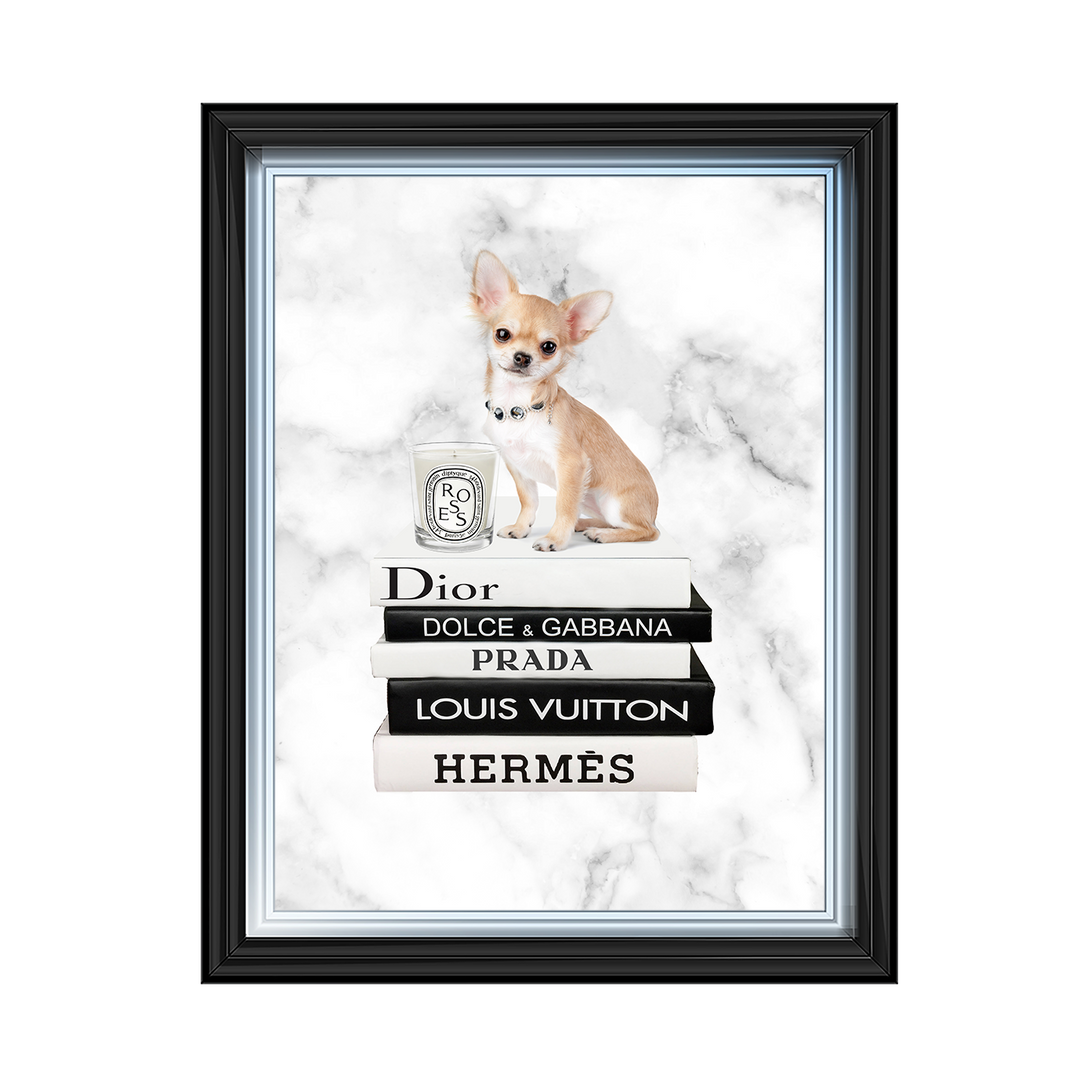 FS256 Fashion books VI