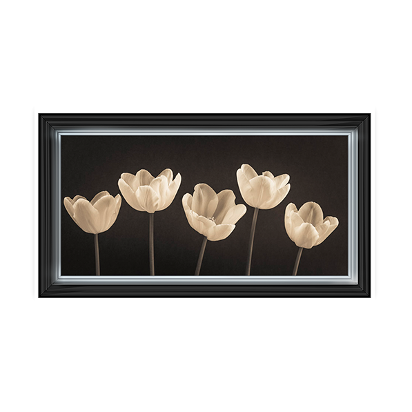 Five Tulips in a row