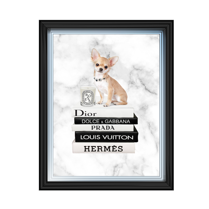FS256 Fashion books VI