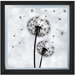 FL010 Dandelion pair