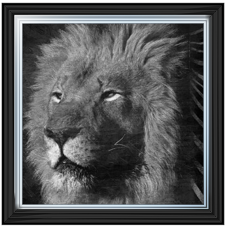 AN047 Animal Instincts Black And White