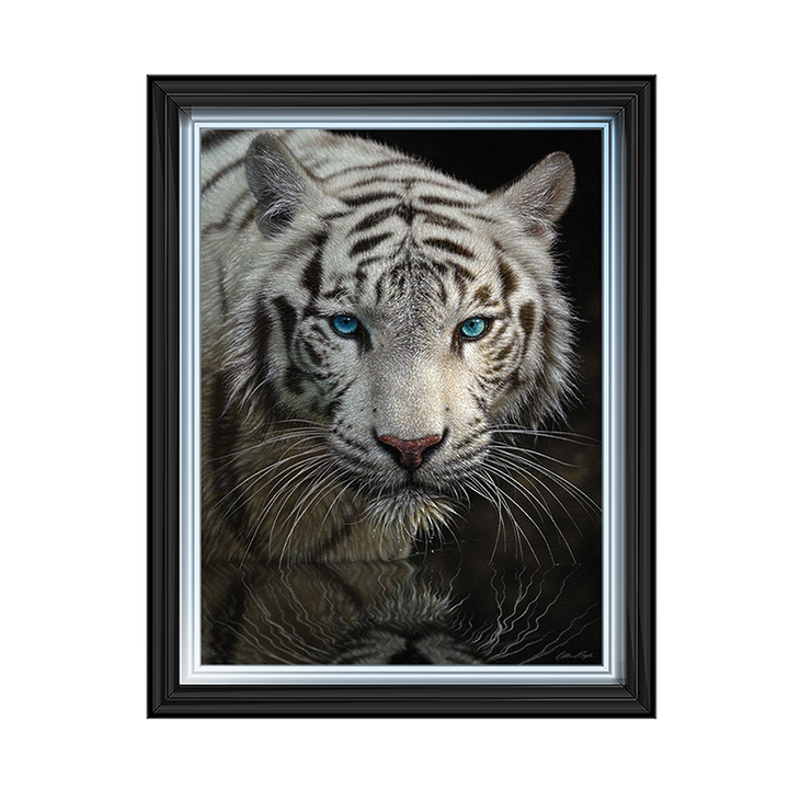 White Tiger - Into the Light