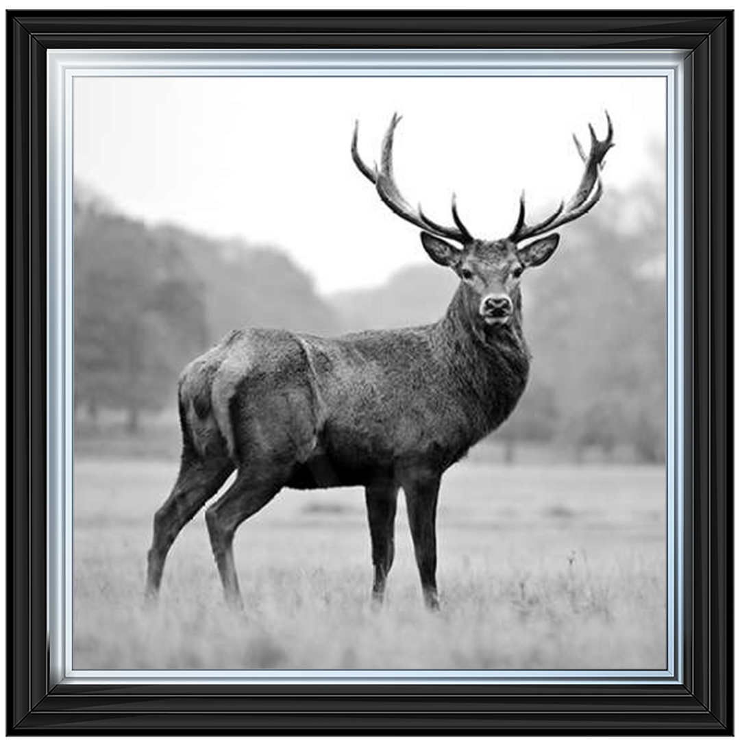 AN007 Proud Deer