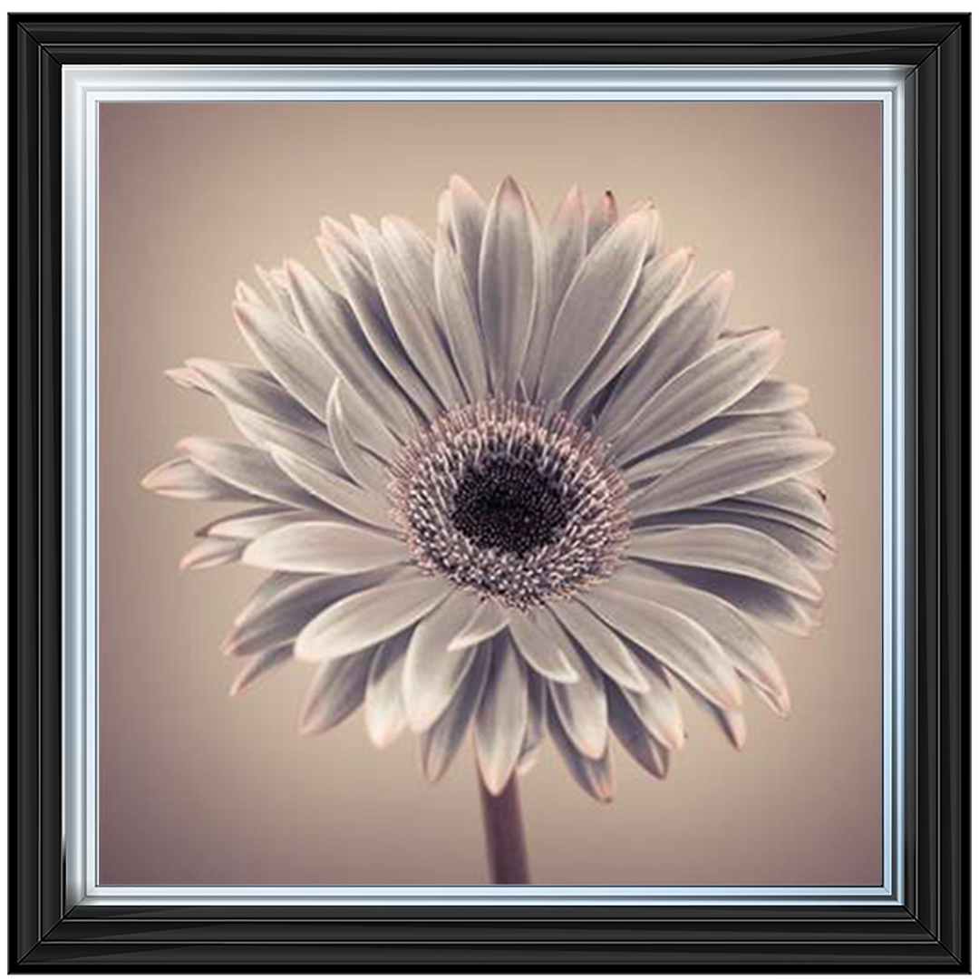 FL013 Pink Gerbera 1