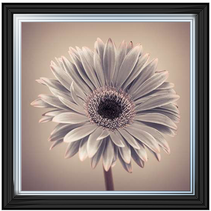FL013 Pink Gerbera 1