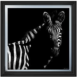 Wildlife Scratchboards IV