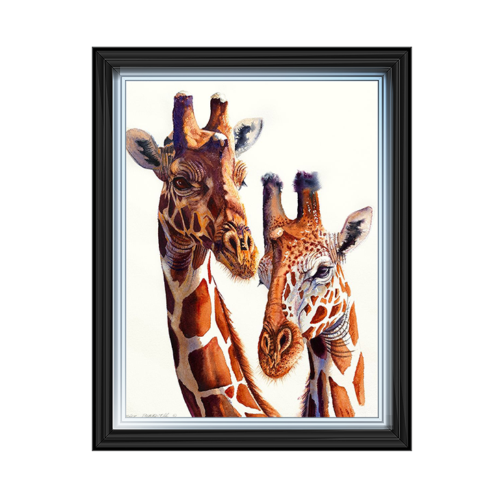 Safari Giraffes
