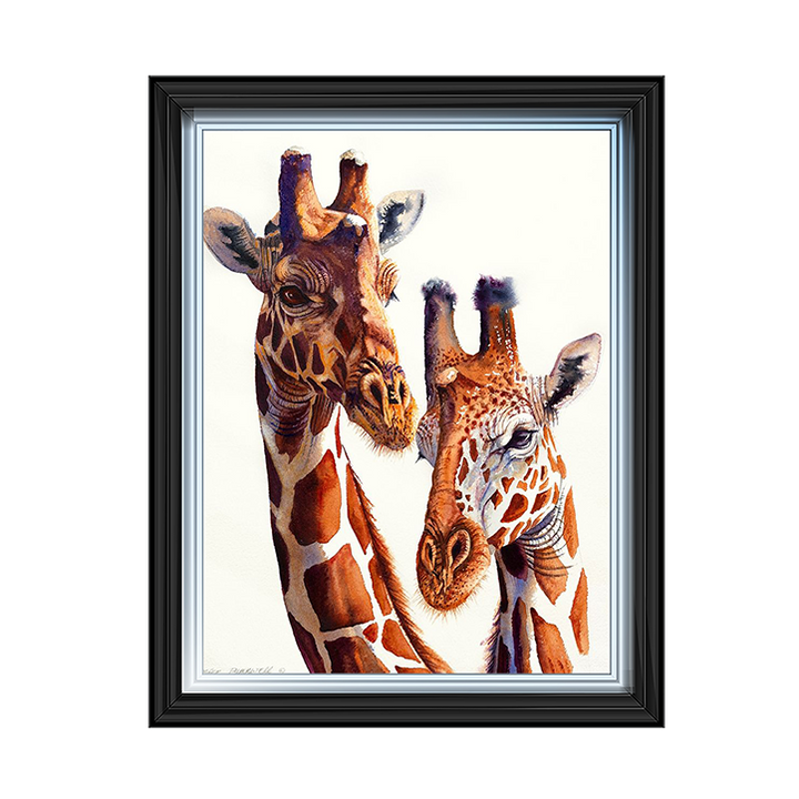Safari Giraffes