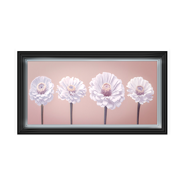 Four Zinnias in a row nude pink