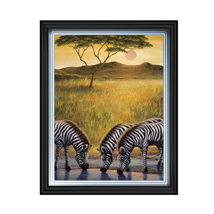 AN039 Zebra Respite