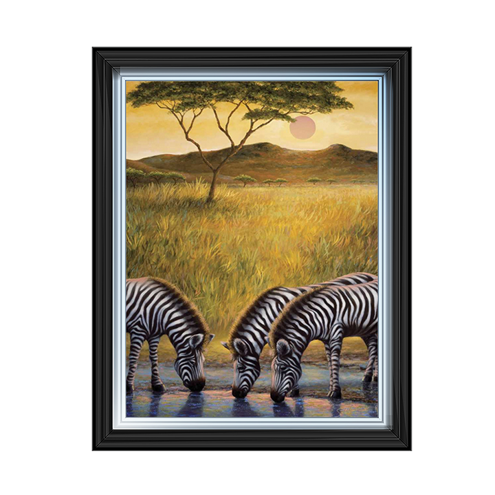 AN039 Zebra Respite